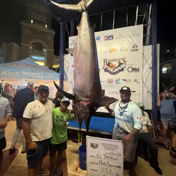 Acerca de Choco Sportfishing San José del Cabo