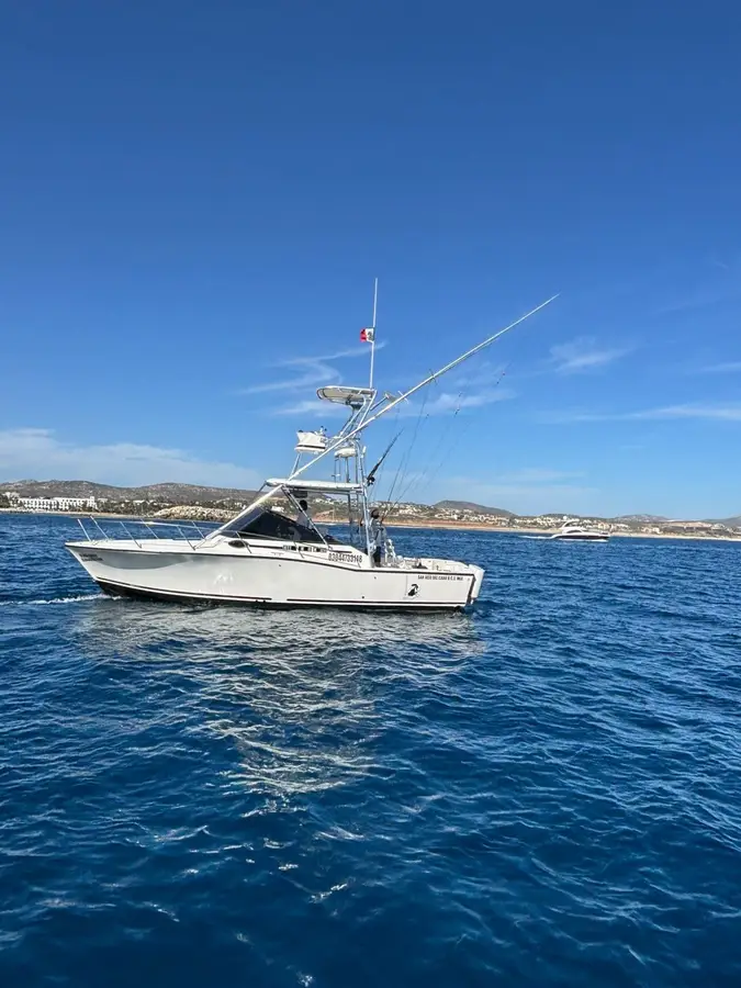 Black Sheep boat Choco Sportfishing, La Paz, BCS