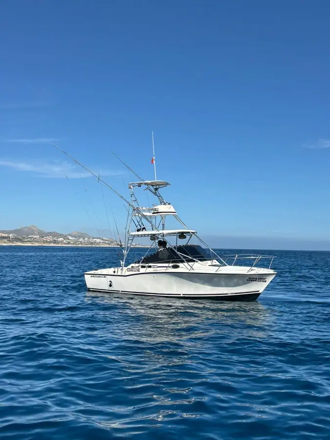 Black Sheep boat Choco Sportfishing, La Paz, BCS