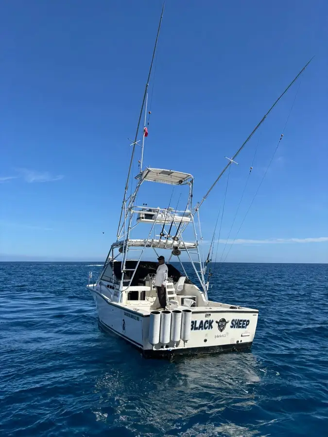 Black Sheep boat Choco Sportfishing, La Paz, BCS