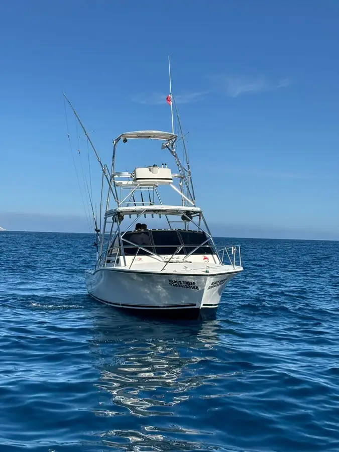 Black Sheep boat Choco Sportfishing, La Paz, BCS