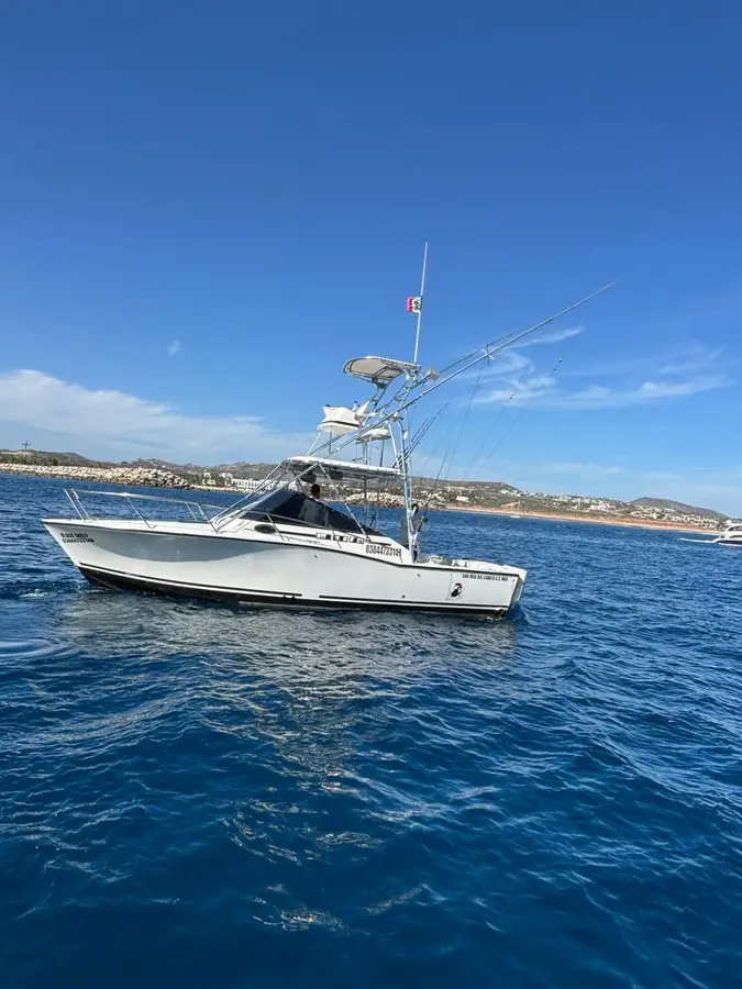 Black Sheep boat Choco Sportfishing, La Paz, BCS