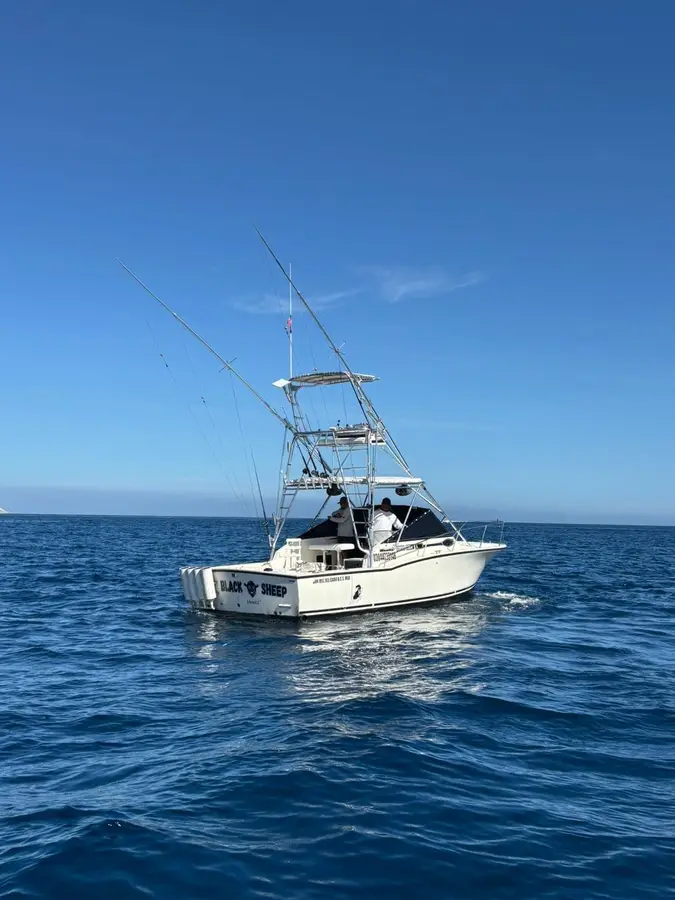 Black Sheep boat Choco Sportfishing, La Paz, BCS
