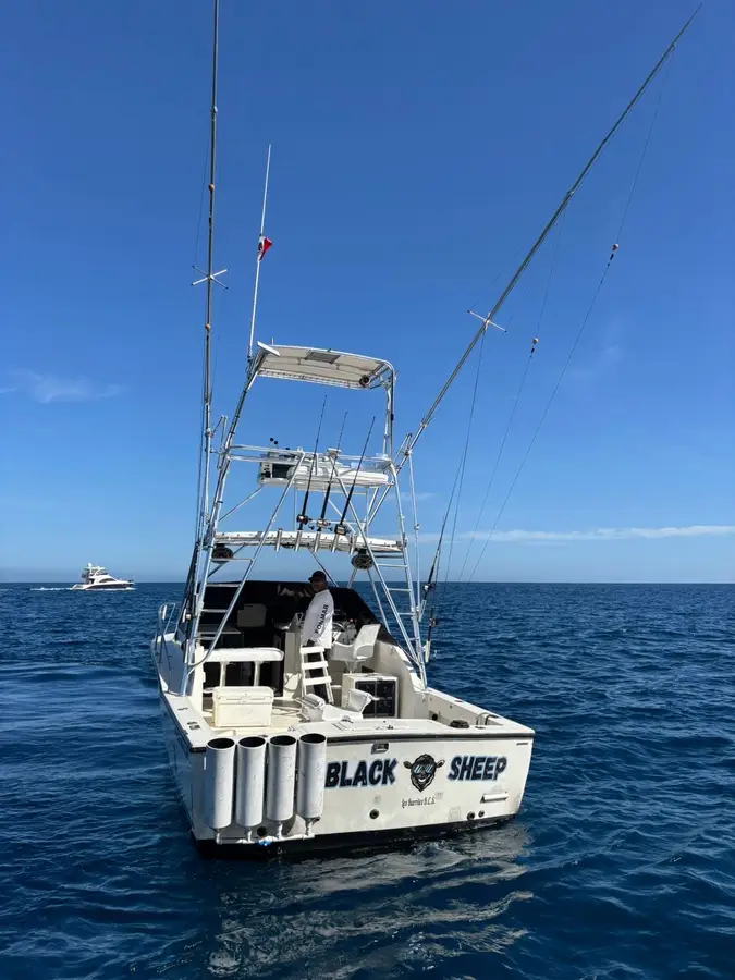 Black Sheep boat Choco Sportfishing, La Paz, BCS