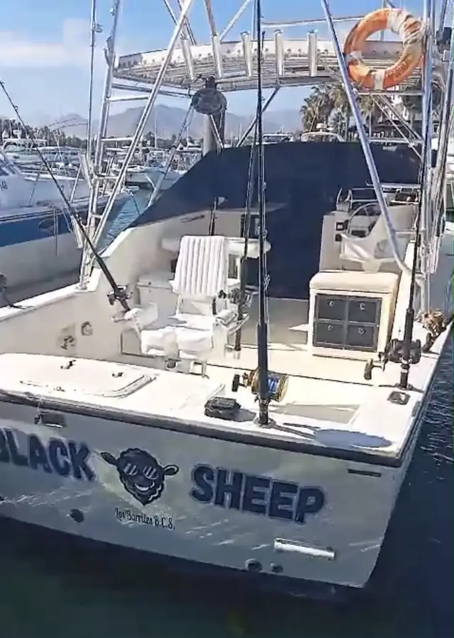 Black Sheep boat Choco Sportfishing, La Paz, BCS