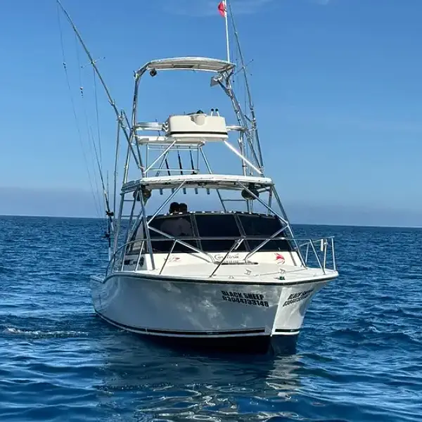 Black Sheep boat Choco Sportfishing