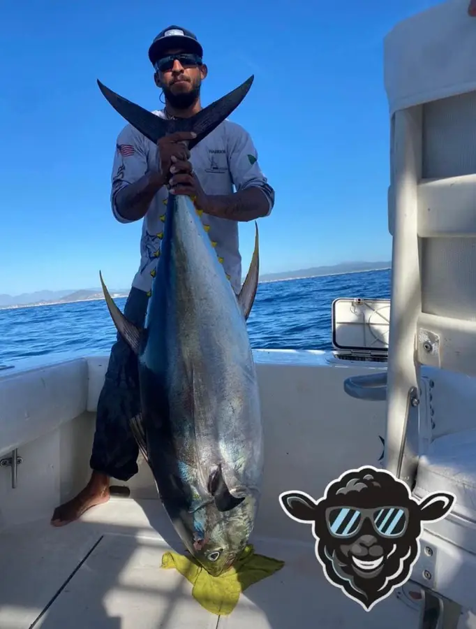 Choco Sportfishing, La Paz, BCS