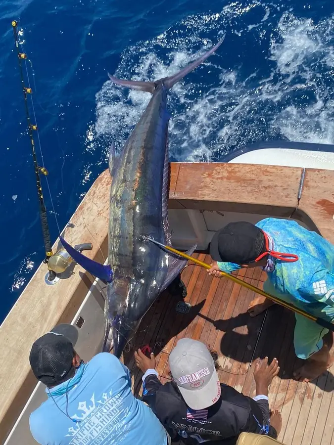 Choco Sportfishing, La Paz, BCS