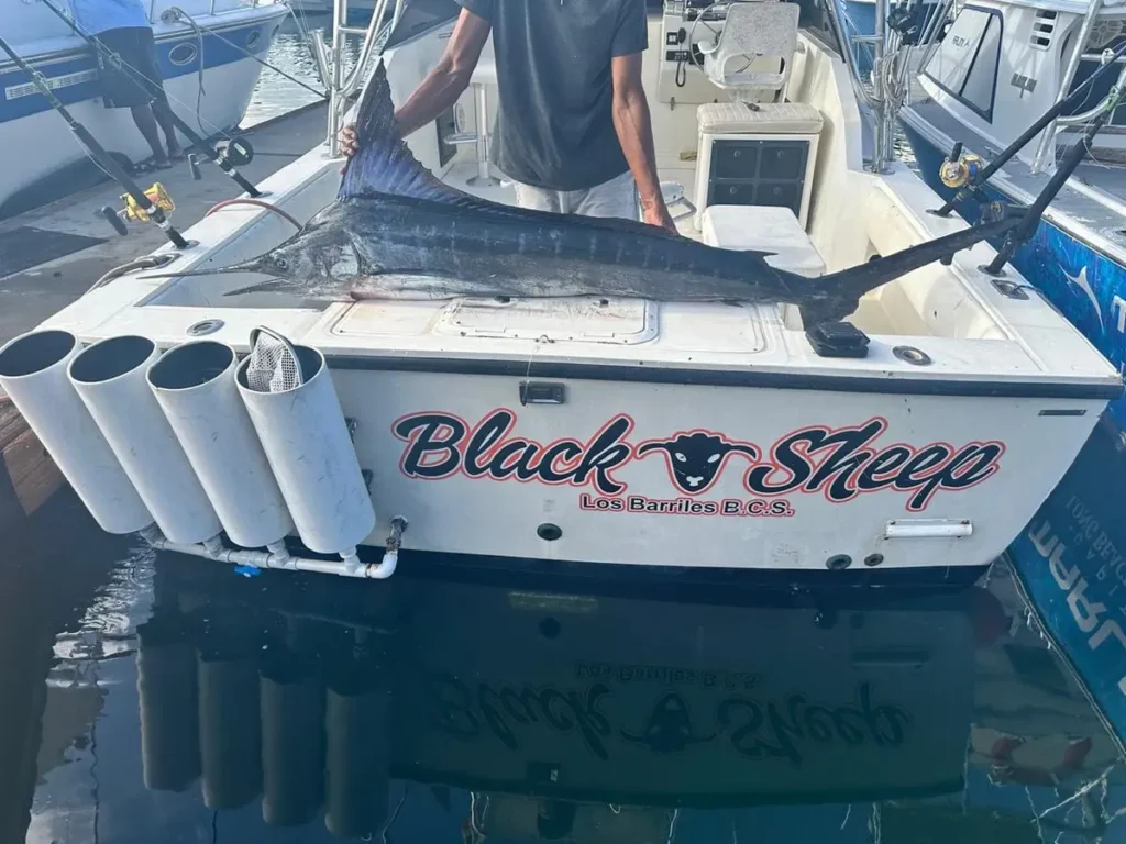 Choco Sportfishing, La Paz, BCS