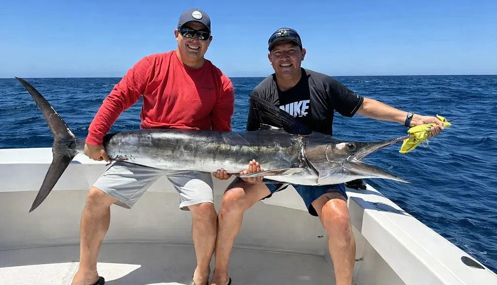 Peca deportiva Choco Sportfishing, Los Cabos, BCS.