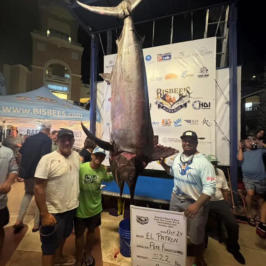 Torneos Choco Sportfishing, La Paz, BCS