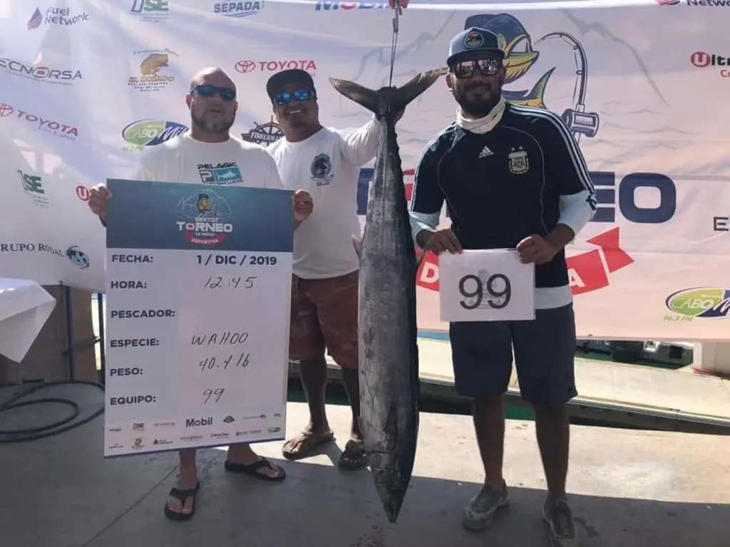 Torneos Choco Sportfishing, La Paz, BCS