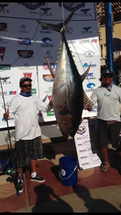 Torneos Choco Sportfishing, La Paz, BCS