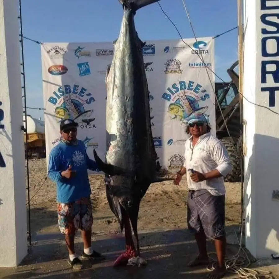 Torneos Choco Sportfishing, La Paz, BCS
