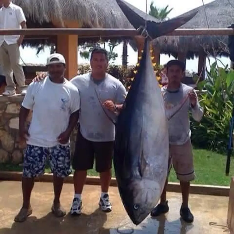 Torneos Choco Sportfishing, La Paz, BCS