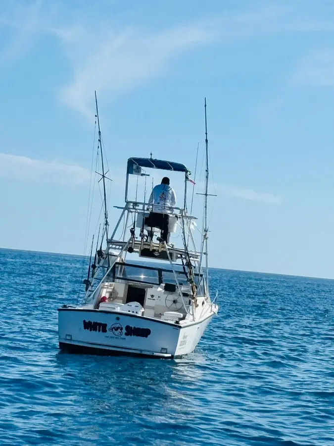White Sheep boat Choco Sportfishing, La Paz, BCS