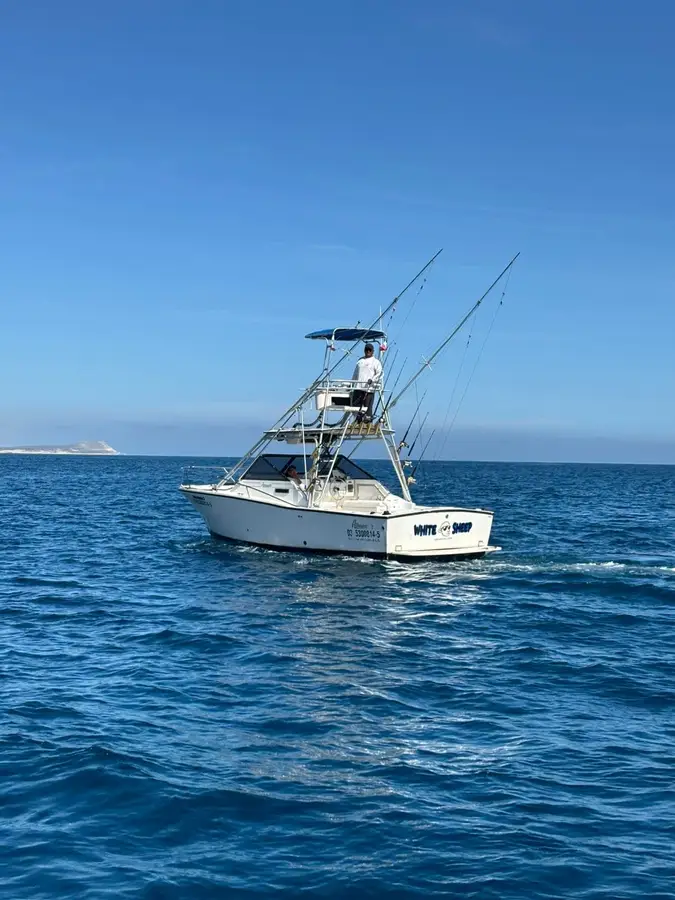White Sheep boat Choco Sportfishing, La Paz, BCS