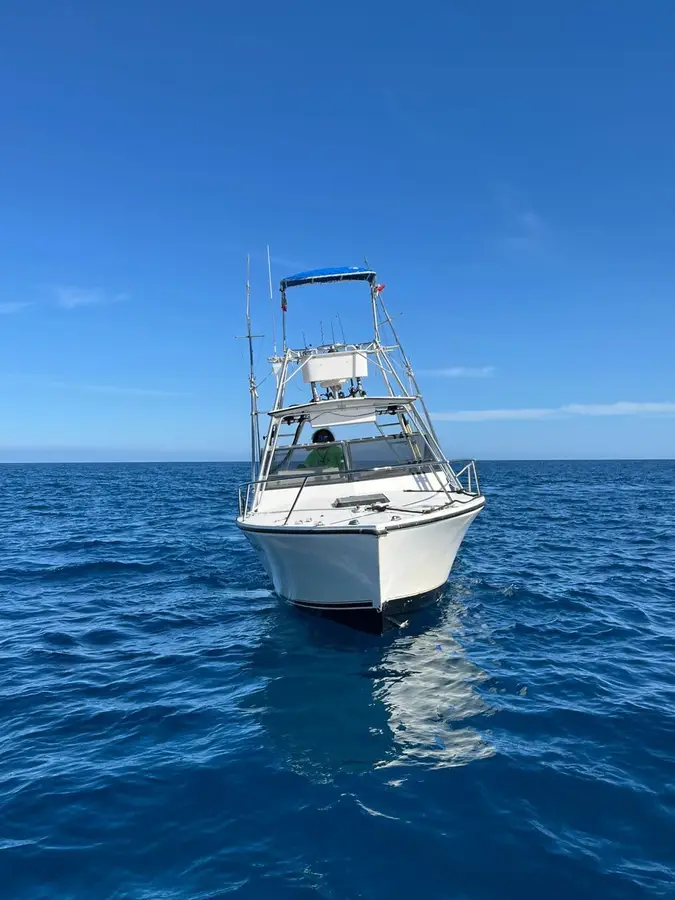White Sheep boat Choco Sportfishing, La Paz, BCS